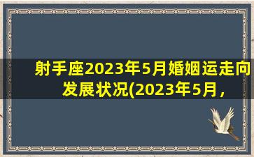 射手座2023年5月婚姻运走向  发展状况(2023年5月，射手座婚姻运走向如何？看发展状况！)